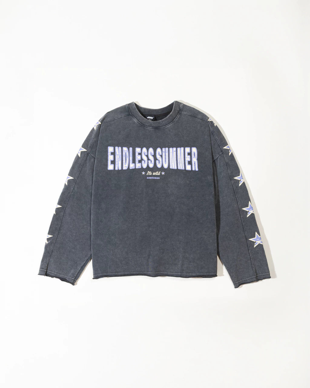 CREWNECK ENDLESS